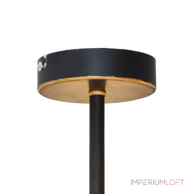 Люстра на штанге Roxana TL1194X-05BK Toplight