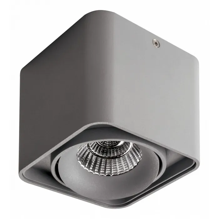 Накладной светильник Lightstar Monocco 212519 от ImperiumLoft
