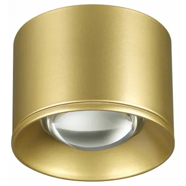 Накладной светильник Novotech Patera 358669 Цвет арматуры золото Цвет плафонов золото
