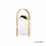 Колонка звуковая iLedex Giggle OVS1100-CH WH от ImperiumLoft