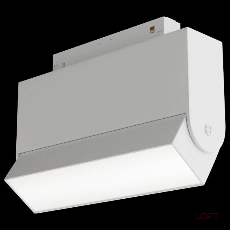 Светильник на штанге Maytoni Basis TR013-2-10W3K-W