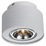 Накладной светильник Arte Lamp Cliff A5643PL-1WH Цвет арматуры белый Цвет плафонов белый от ImperiumLoft