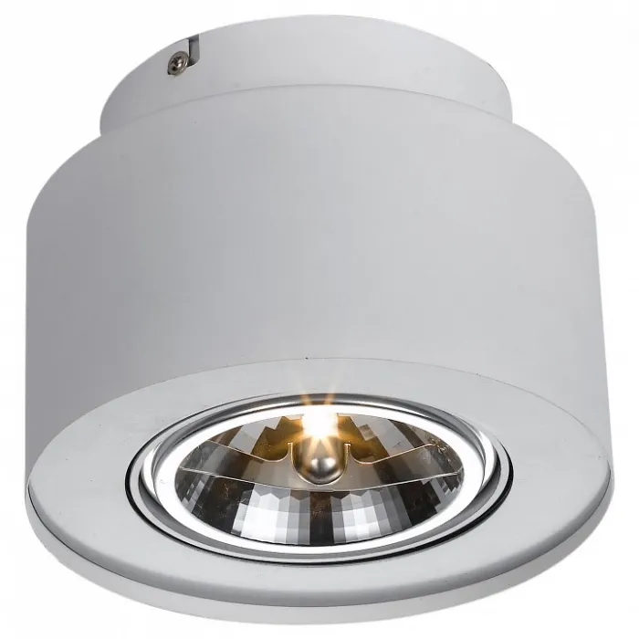 Накладной светильник Arte Lamp Cliff A5643PL-1WH Цвет арматуры белый Цвет плафонов белый от ImperiumLoft