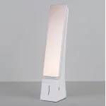 Настольная лампа офисная Elektrostandard TL90450 a039415 от ImperiumLoft
