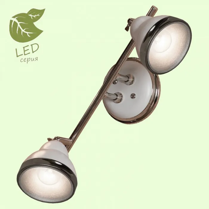 Спот Lussole LSN-62 GRLSN-6201-02 от ImperiumLoft
