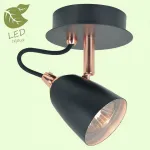 Спот Lussole LSP-985 GRLSP-9851 от ImperiumLoft