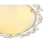 Накладной светильник Arte Lamp Riccioli A1060PL-3WG от ImperiumLoft