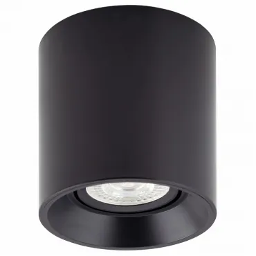Накладной светильник Denkirs DK304 DK3040-BK Цвет арматуры черный Цвет плафонов черный от ImperiumLoft