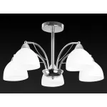 Потолочная люстра TopLight Celia TL3610X-05CH 