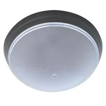 Накладной светильник Horoz Electric HRZ00001456 Цвет арматуры черный