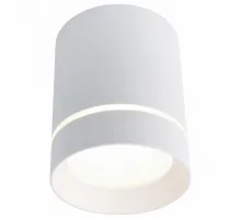 Накладной светильник Arte Lamp 1909 A1909PL-1WH Цвет арматуры белый Цвет плафонов белый