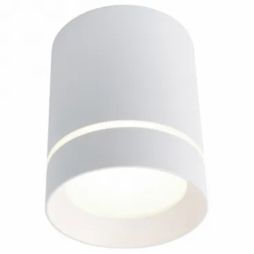 Накладной светильник Arte Lamp 1909 A1909PL-1WH Цвет арматуры белый Цвет плафонов белый