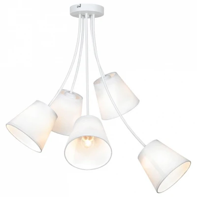 Люстра на штанге Lussole Lafayette LSP-8267