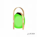 Колонка звуковая iLedex Giggle OVS1100-CH WH от ImperiumLoft