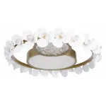 Накладной светильник Loft it Bride 10174 от ImperiumLoft