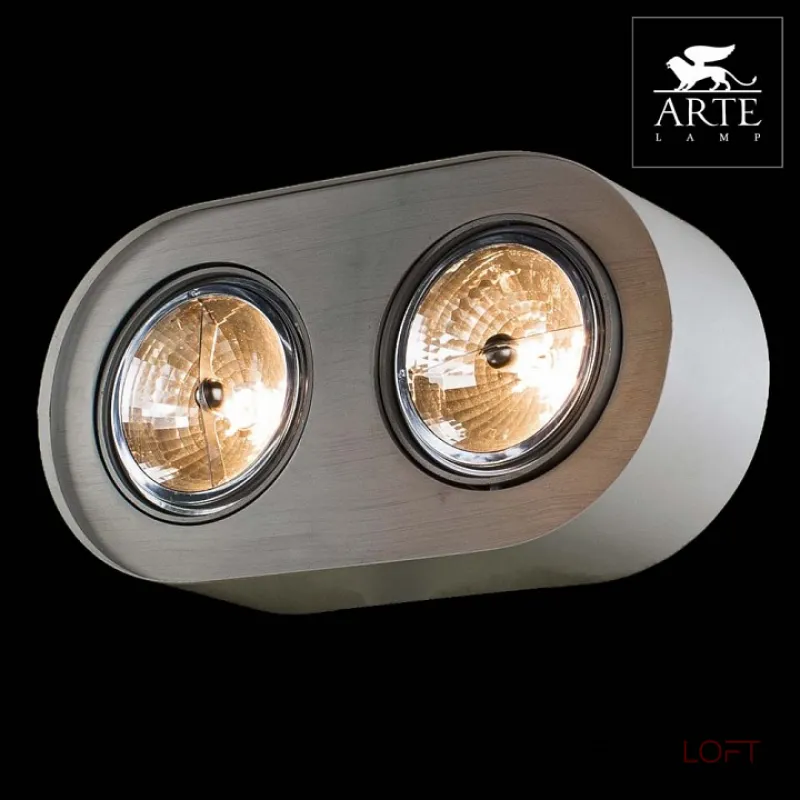 Накладной светильник Arte Lamp Cliff A5643PL-2WH Цвет арматуры белый Цвет плафонов хром