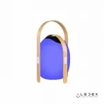 Колонка звуковая iLedex Giggle OVS1100-CH WH от ImperiumLoft