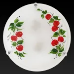 Потолочный светильник TopLight Omtar TL9371Y-02WH 