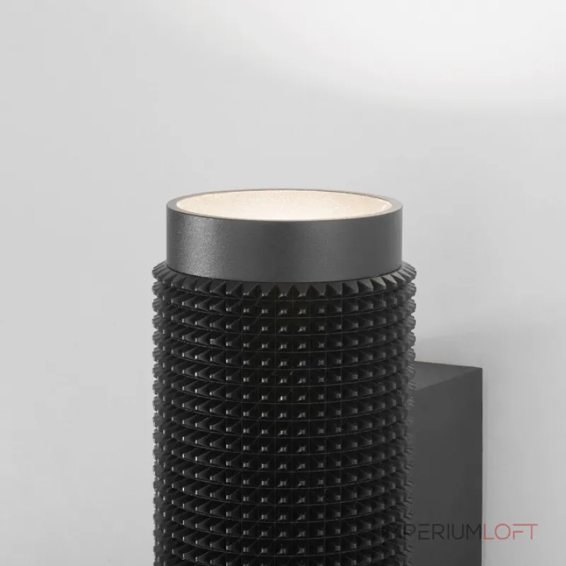 Накладной светильник Elektrostandard 1014 a050116 Цвет плафонов черный Цвет арматуры черный