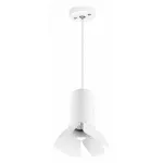 Подвесной светильник Lightstar Rullo RP436436 