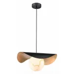 Подвесной светильник Vele Luce Aronos VL5734P11 
