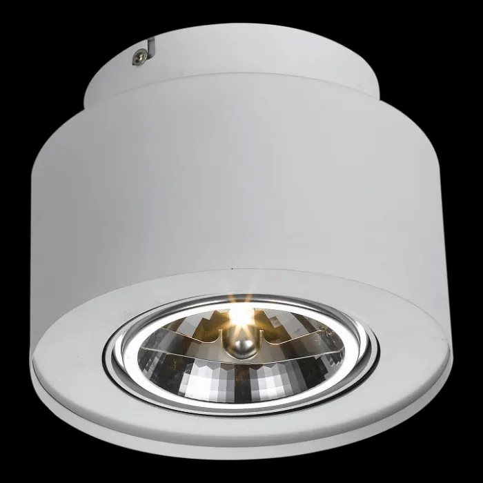 Накладной светильник Arte Lamp Cliff A5643PL-1WH Цвет арматуры белый Цвет плафонов белый от ImperiumLoft