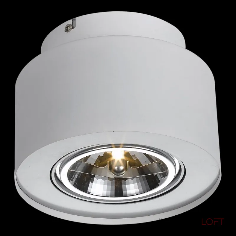 Накладной светильник Arte Lamp Cliff A5643PL-1WH Цвет арматуры белый Цвет плафонов белый