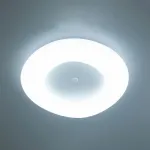 Потолочный светильник Citilux Стратус Смарт CL732A800G