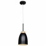 Подвесной светильник Loft it Watchman LOFT4402A-BL Цвет плафонов черный Цвет арматуры черный от ImperiumLoft