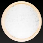 Потолочный светильник TopLight Beatrice TL9280Y-00PN 