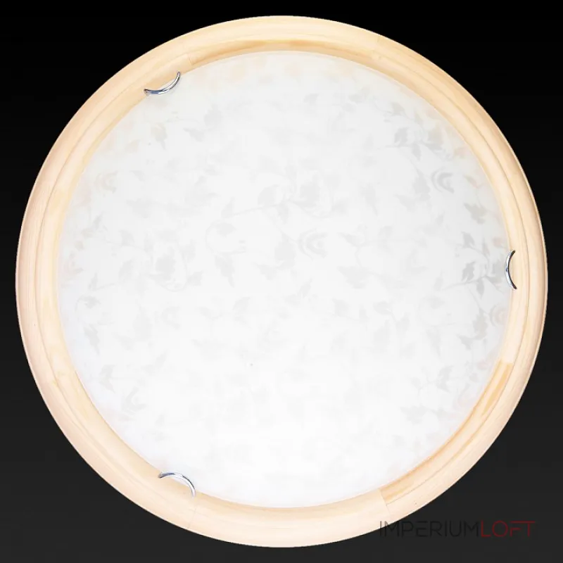 Потолочный светильник TopLight Beatrice TL9280Y-00PN 