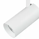 Светильник на штанге Lightstar Fuoco 218246 Цвет арматуры Белый Цвет плафонов Белый