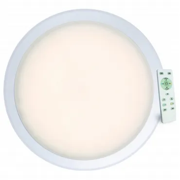 Накладной светильник Arte Lamp Lunio A6040PL-1WH Цвет арматуры белый Цвет плафонов белый