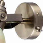 Бра Arte Lamp 9582 A9582AP-1AB Цвет арматуры бронза Цвет плафонов коричневый