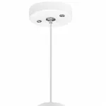 Подвесной светильник Lightstar Rullo 7 RP496437 