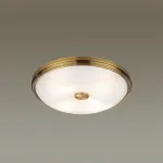Накладной светильник Odeon Light Pelow 4956/4