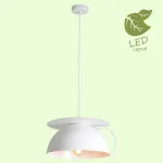 Подвесной светильник Lussole Tanaina GRLSP-9559 