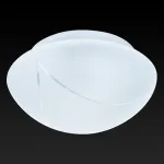 Накладной светильник TopLight Rosamond TL9420Y-02WH Цвет арматуры белый Цвет плафонов белый