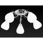 Потолочная люстра TopLight Alexia TL3640X-05CH 
