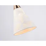 Подвесной светильник Ambrella TR TR8429