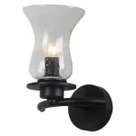 Бра Arte Lamp Malia A6586AP-1BK Цвет арматуры черный Цвет плафонов прозрачный