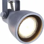 Спот Arte Lamp 9189 A9189PL-4GY Цвет арматуры серый Цвет плафонов серый