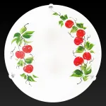 Потолочный светильник TopLight Omtar TL9371Y-02WH 