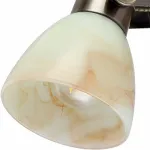 Бра Arte Lamp 9582 A9582AP-1AB Цвет арматуры бронза Цвет плафонов коричневый