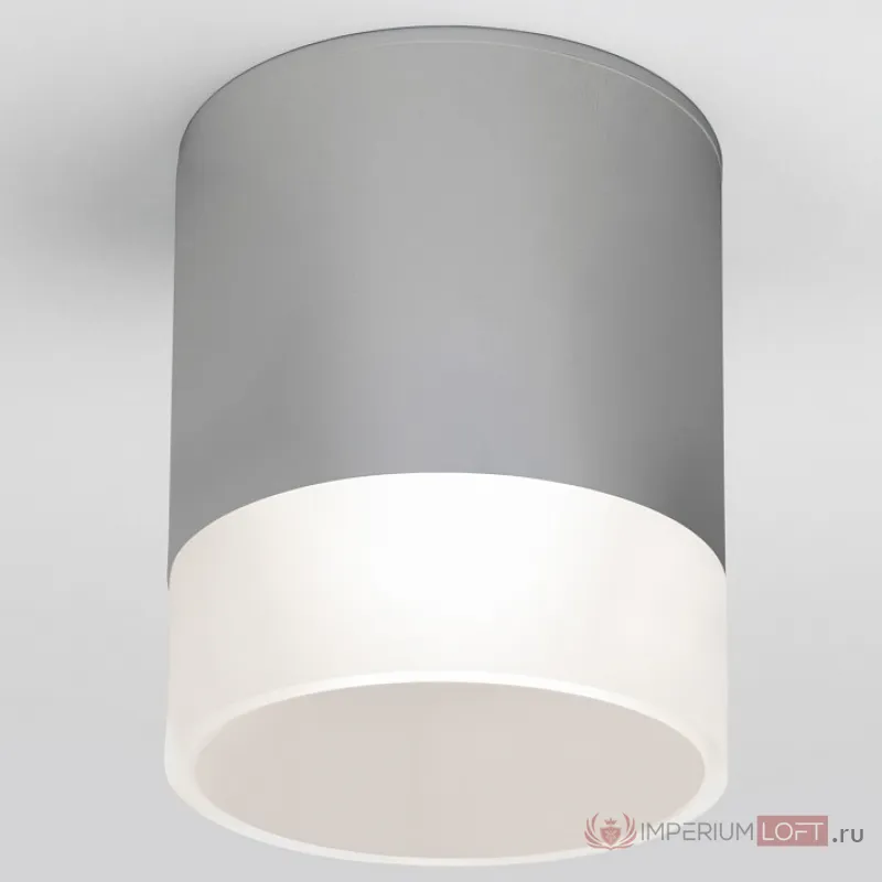 Накладной светильник Elektrostandard Light LED 35140/H серый от ImperiumLoft