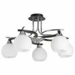 Потолочная люстра TopLight Alison TL2670X-05WC 