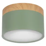 Накладной светильник Loft it Grape 10162 Green от ImperiumLoft