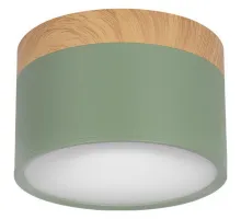Накладной светильник Loft it Grape 10162 Green