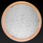Потолочный светильник TopLight Beatrice TL9280Y-00PN 