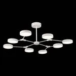 Люстра на штанге EVOLUCE Monta SLE6003-502-08 от ImperiumLoft